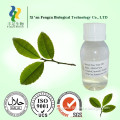 100% Pure Natural Tea Tree Essential Oil, tea tree oil private label